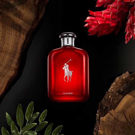 red polo ralph lauren fragrance.